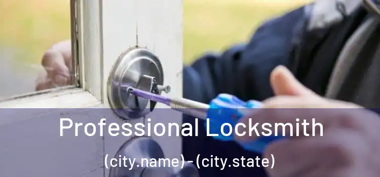 Professional Locksmith (city.name) - (city.state)